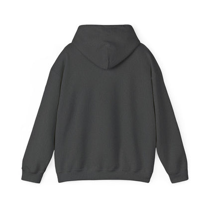Arsenal Fandom Hoodie